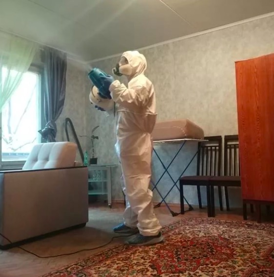 дезинсекция квартиры в Арзамасе